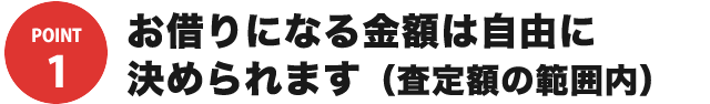 お借りになる金額は自由に決められます（査定額の範囲内）