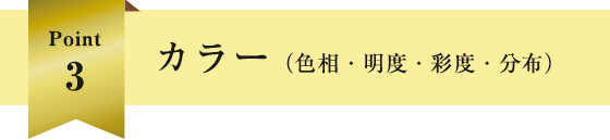 カラー（色相・明度・彩度・分布）