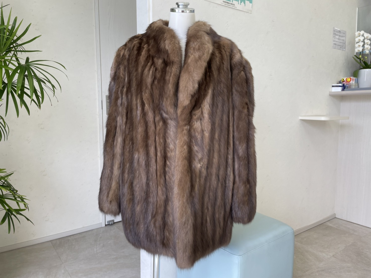 Russian-Sable-7.jpg